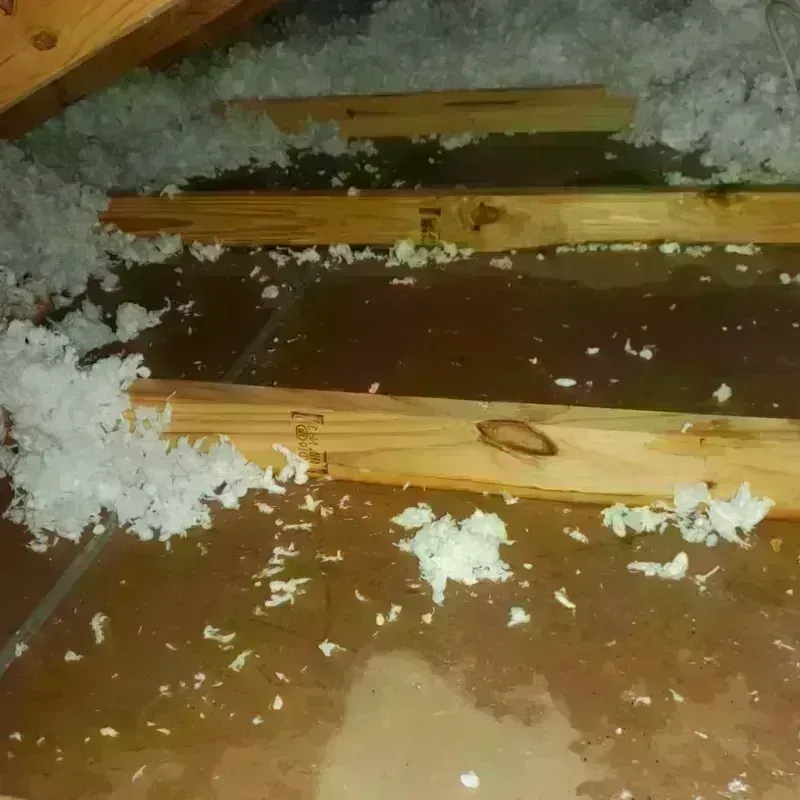 Attic Water Damage in Dunsmuir, CA