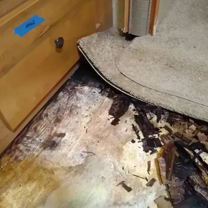 Wood Floor Water Damage in Dunsmuir, CA